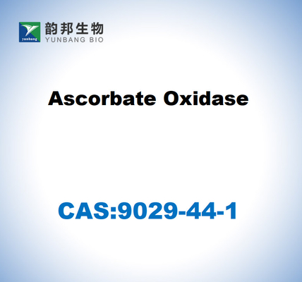 CAS 9029-44-1 Оксидаза аскорбата