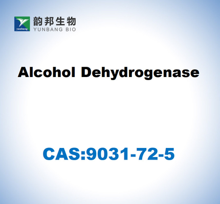 CAS 9031-72-5 Алкогольная дегидрогеназа