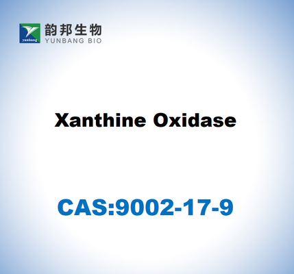 CAS 9002-17-9 Ксантиноксидаза
