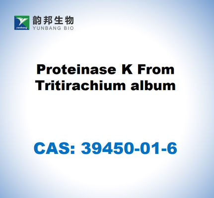 CAS 39450-01-6 протеиназа K из тритирахиевого альбома