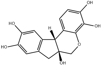 Структура Hematoxylin